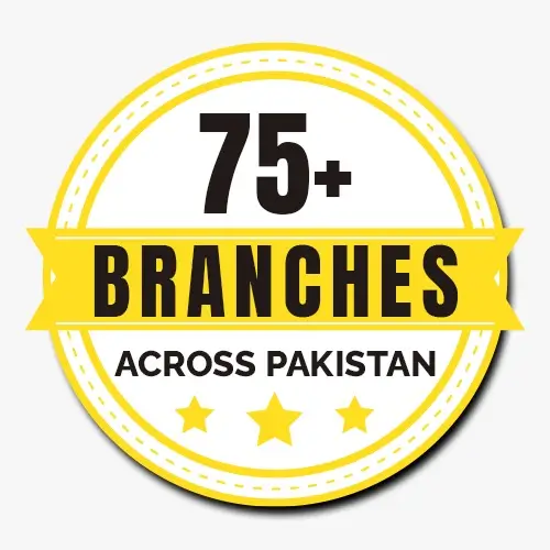 Link International Exchange 75+ Branches in all of Pakistan